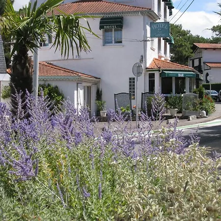 Les Tennis Men Les Pins Centre Hotel La Baule